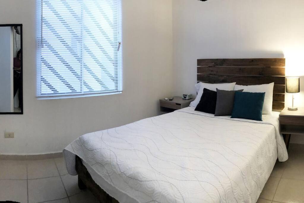 Comfortable And Private House 2 Bedrooms Wifi Parking Free 蒙特雷 外观 照片